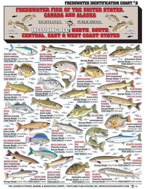 Can you help me identify the fish I'm missing so I have .